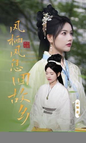 凤栖凤息回故乡(36集) 凤栖凤息回故乡(36集)夸克网盘观看