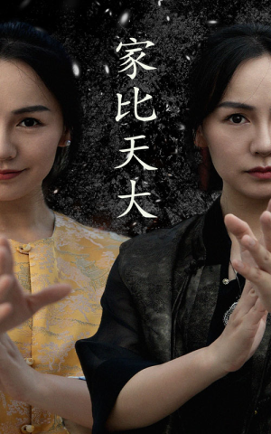 家比天大（63集）直接看到大结局