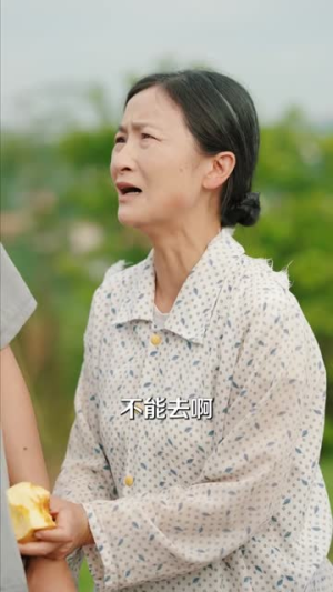 光宗耀祖(64集) 光宗耀祖(64集)解说