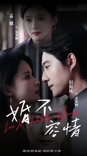 婚不容情(89集) 婚不容情(89集)经典老剧免费看