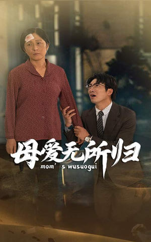 母爱无所归(33集) 母爱无所归(33集)热播古装短剧