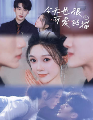 今天也很可爱的猫(72集) 今天也很可爱的猫(72集)短剧全集更精彩