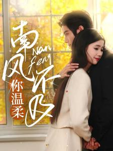 南风不及你温柔(74集) 南风不及你温柔(74集)看到大结局