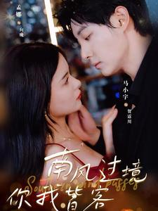 南风国境你我皆客(80集) 南风国境你我皆客(80集)集免费看短剧