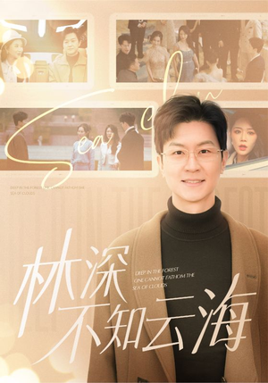 林深不知云海(84集) 林深不知云海(84集)高清无码免费看