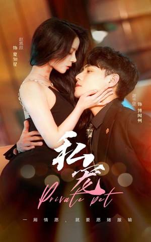 私宠(94集) 私宠(94集)更新时间