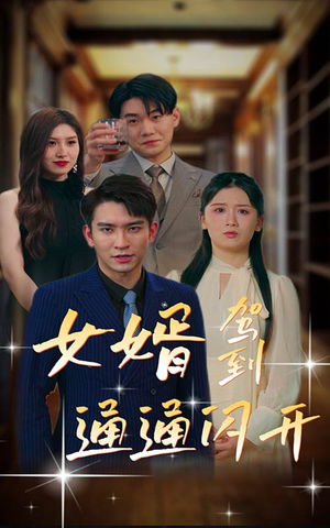 女婿驾到,通通闪开(34集) 女婿驾到,通通闪开(34集)爆火短剧推荐