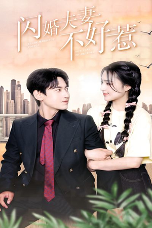 闪婚夫妻不好惹(90集) 闪婚夫妻不好惹(90集)让你一口气看完