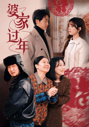 婆家过年(71集) 婆家过年(71集)女主角是谁