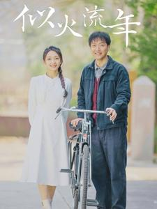 似火流年(100集) 似火流年(100集)看到了大结局