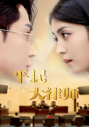 平民大律师(95集) 平民大律师(95集)全剧免费观看