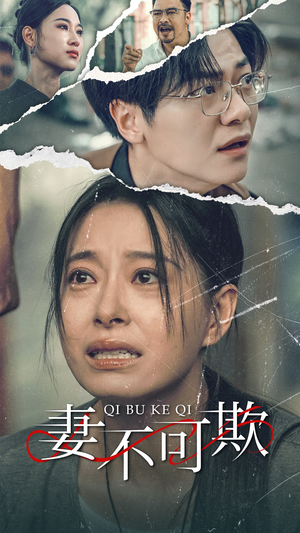 妻不可欺(51集) 妻不可欺(51集)大结局完美收官