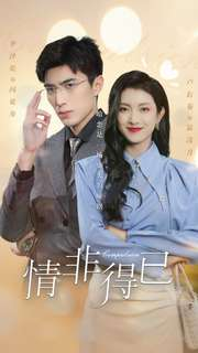 情非得已(60集) 情非得已(60集)免费观看
