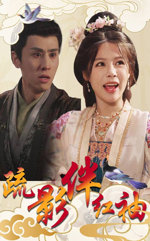 疏影伴红袖(40集) 疏影伴红袖(40集)全集