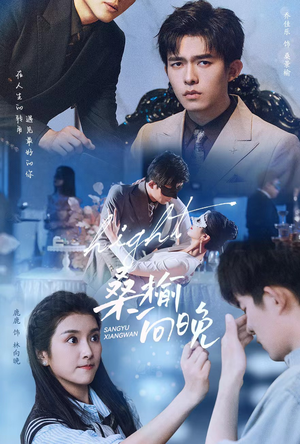 桑榆向晚（65集）在线看免费版