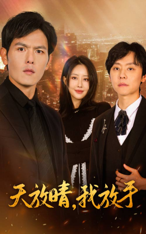 天放晴,我放手(35集) 天放晴,我放手(35集)短剧在线看