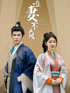 唯妻不负(80集) 唯妻不负(80集)精彩短剧看不停