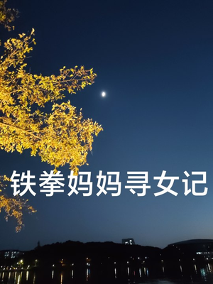 铁拳妈妈寻女记(69集) 铁拳妈妈寻女记(69集)热门了短剧