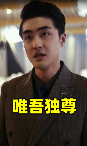 唯吾独尊(96集) 唯吾独尊(96集)全集都在这里了