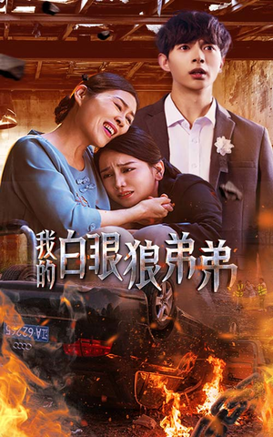 我的白眼狼弟弟(69集) 我的白眼狼弟弟(69集)最新火爆短剧