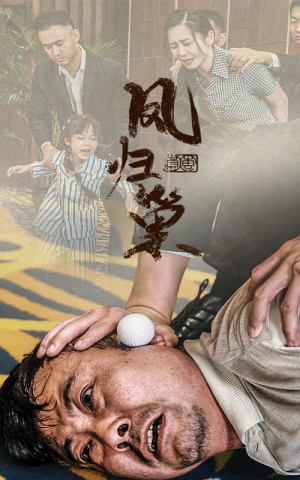 新版:凤归巢(68集) 新版:凤归巢(68集)全季一次看完