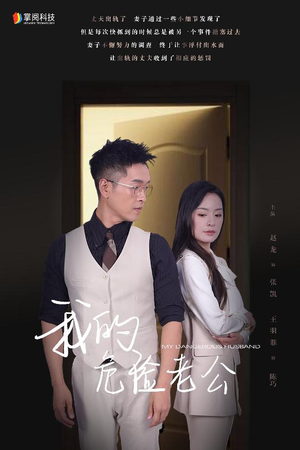 我的危险老公(63集) 我的危险老公(63集)全集下载