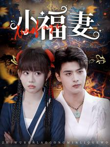 小福妻(62集) 小福妻(62集)免费观看