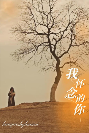 我怀念的你(38集) 我怀念的你(38集)独家资源免费看