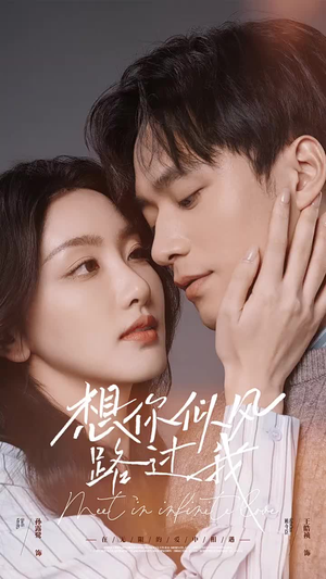 想你似风路过我(40集) 想你似风路过我(40集)短剧介绍