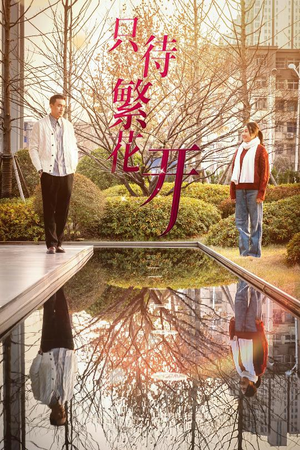 只待繁花开(35集) 只待繁花开(35集)精彩不断免费看