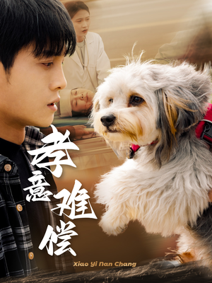 孝意难偿(32集) 孝意难偿(32集)百度在线观看