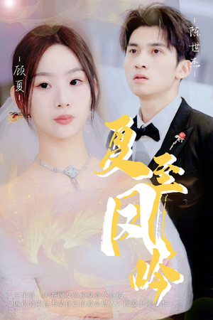 夏至凤吟（60集）常回家看看短剧