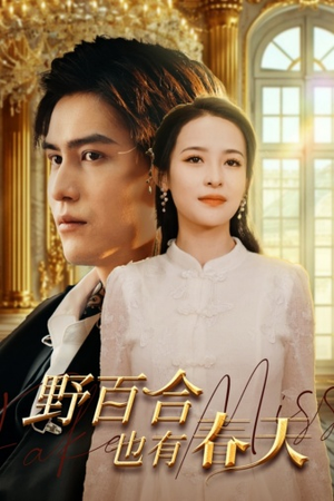 野百合也有春天(85集) 野百合也有春天(85集)演的怎么样