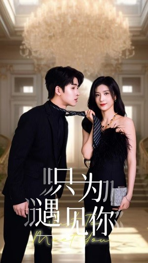只为遇见你(88集) 只为遇见你(88集)精彩好看的短剧