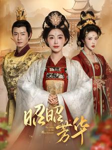 昭昭芳华（81集）直接追到结尾