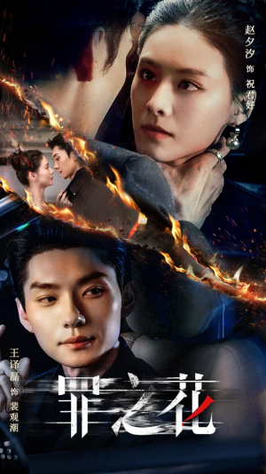 罪之花(56集) 罪之花(56集)一口气看完
