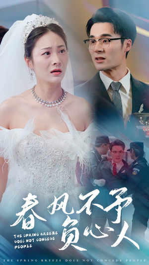 春风不予负心人(28集) 春风不予负心人(28集)全集完整版