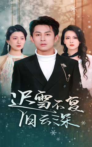 迟雪不复旧云深(45集) 迟雪不复旧云深(45集)在线看免费版
