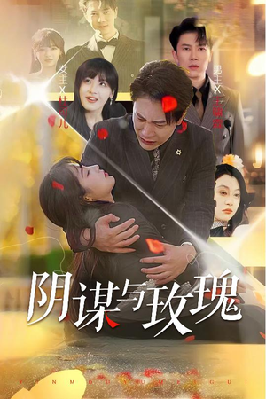 阴谋与玫瑰(31集) 阴谋与玫瑰(31集)大结局太过瘾了