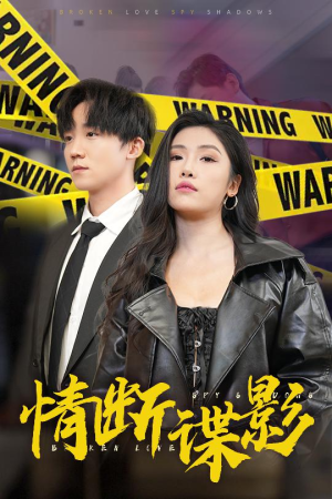 情断谍影(30集) 情断谍影(30集) 女主角是谁