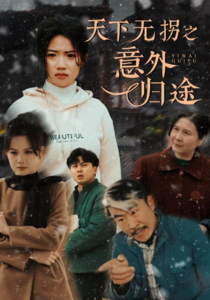 天下无拐之意外归途(61集) 天下无拐之意外归途(61集) 1-102集