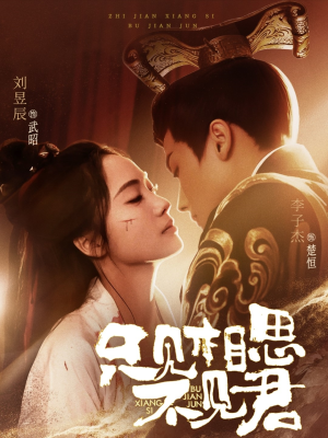 只见相思不见君(82集) 只见相思不见君(82集) 好看上头短剧