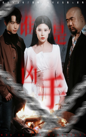 谁是凶手(31集) 谁是凶手(31集) 零花钱看整部剧
