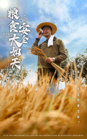 粮食安全大如天（43集） 上热门短剧