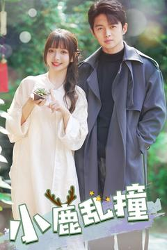 小鹿乱撞(40集) 小鹿乱撞(40集) 经典老剧免费看