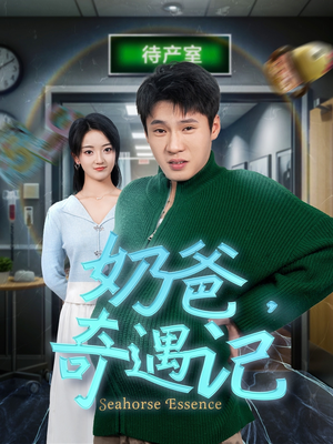 奶爸奇遇记(60集) 奶爸奇遇记(60集) 古装热门短剧