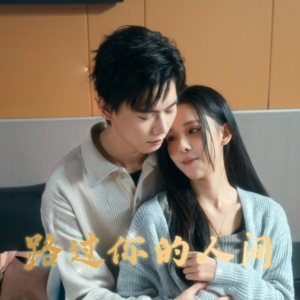 路过你的人间(31集) 路过你的人间(31集)河马免费短剧