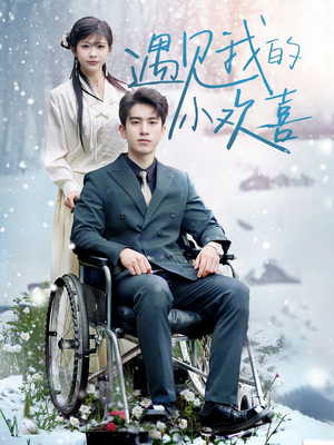 遇见我的小欢喜(70集) 遇见我的小欢喜(70集) 常回家看看短剧