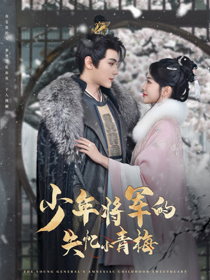 少年将军的失忆小青梅（100集）短剧太上头了