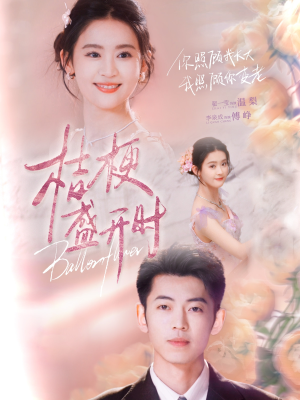 桔梗盛开时(92集) 桔梗盛开时(92集)精彩不断免费看